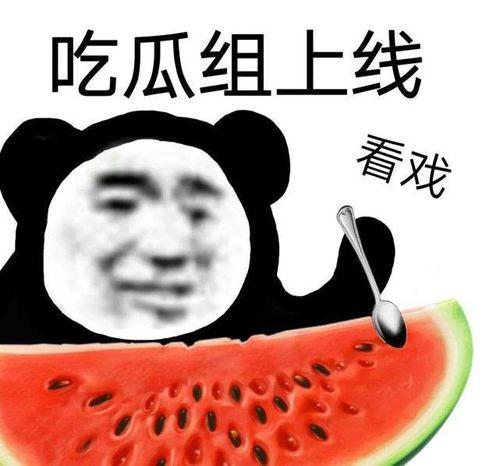 吃瓜黑料全集,揭秘娱乐圈幕后真相