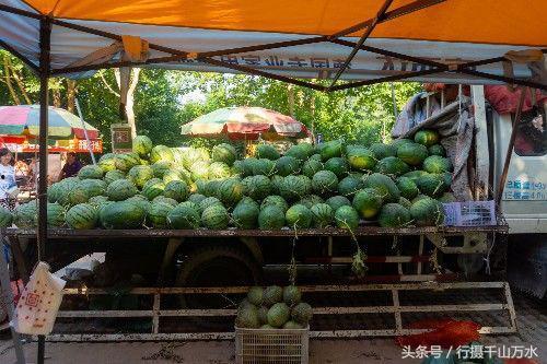 今日吃瓜-唐山花店,今日吃瓜，花艺生活新风尚