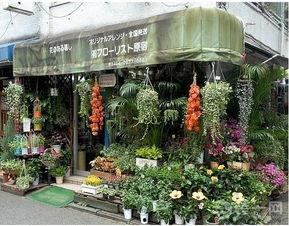 今日吃瓜-唐山花店,今日吃瓜，花艺生活新风尚