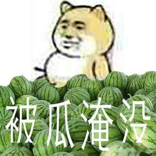黑料热门瓜,黑料热门瓜，真相与谣言的交织