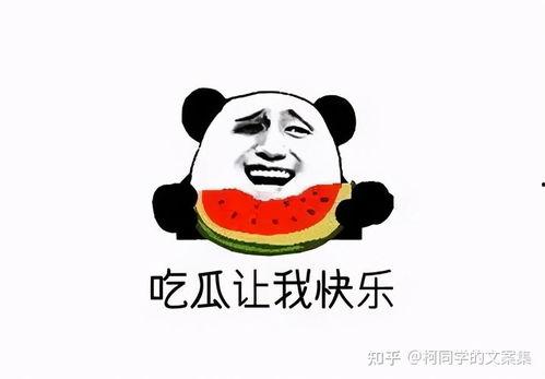 吃瓜爆料不露脸下一句,吃瓜爆料，明星隐私不再神秘