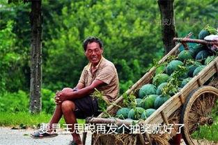 911 红领巾今日吃瓜,揭秘娱乐圈最新热点事件
