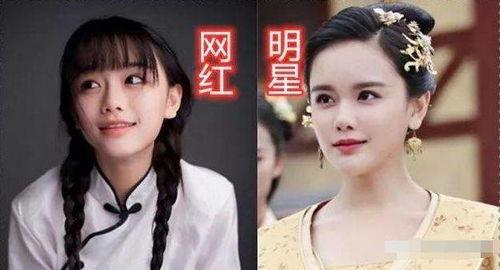 成为明星网红的职业,揭秘网红职业成长之路
