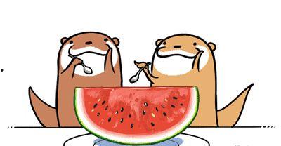今日头条吃冰瓜,冰瓜解暑，今日头条带你感受清凉一夏