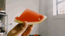 今日头条立秋吃瓜,瓜果飘香，解锁秋季养生新食尚！