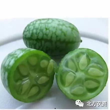 小圆瓜今日价格行情,今日市场动态一览