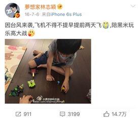明星网红爱玩的玩具,明星们热爱的潮流玩具揭秘