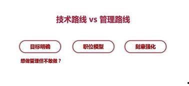 今日聊职是什么瓜,揭秘校园热门“瓜”事件背后的真相