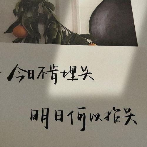 摘瓜热门文案句子,瓜熟蒂落，文案飘香