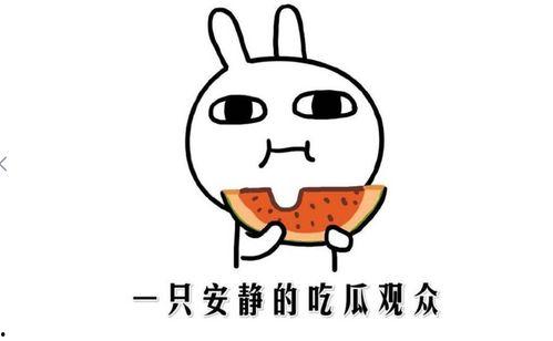 热门事件黑料吃瓜网,黑料吃瓜网带你一探究竟