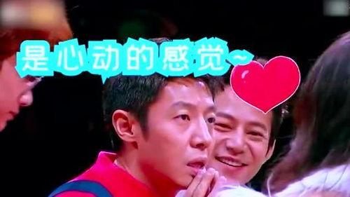 明星网红接唱名场面,网红明星同台献声，经典名场面再现！