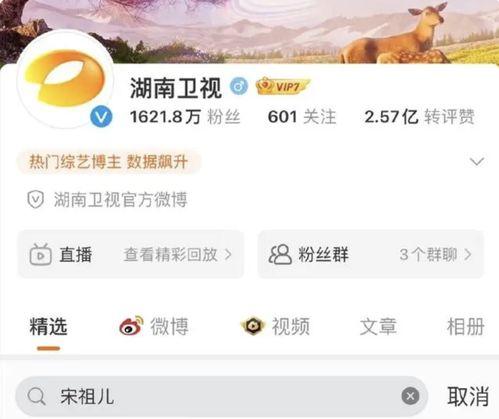 明星网红直播税务问题,直播经济下的明星网红税务挑战与合规路径探析