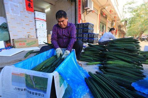 今日瓜菜价格表,市民菜篮子成本几何？