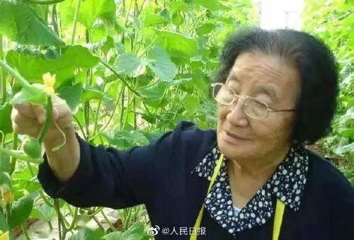 娱乐圈吃瓜小达人是什么,吃瓜小达人的八卦江湖