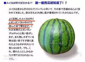 往期抖音热门旧瓜,回顾那些曾引发热议的瞬间