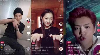 众多明星网红同台直播,网红明星齐聚直播盛宴