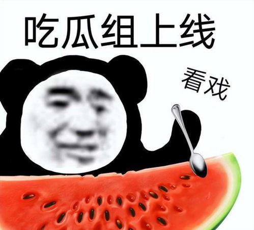 带你吃瓜之奇葩黑科技,带你吃瓜之奇葩黑科技，揭秘未来科技前沿