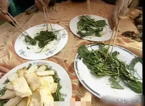 51cg吃瓜爆料永利蘑菇,51cg吃瓜爆料背后的神秘故事