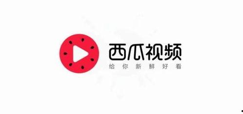 威海瓜塔今日头条,探寻威海特色瓜果的魅力
