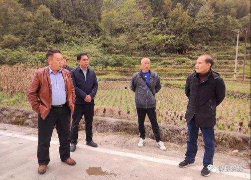瓜里乡今日新闻,乡村振兴战略下的新篇章
