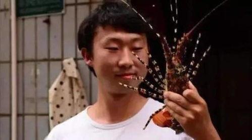 明星网红大v名人,揭秘明星网红大V的传奇人生