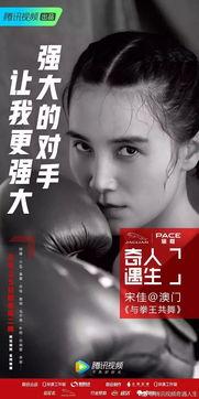 明星网红话题文案图片,揭秘幕后故事，光影背后的真实人生