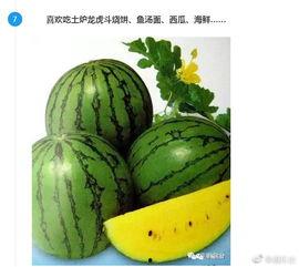 热门摘瓜音乐,盘点年度最受欢迎的摘瓜歌曲