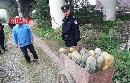 近期民间热门吃瓜事件,真相与谣言的较量