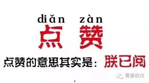 杭州瓜沥今日头条,今日头条聚焦城市发展新动态