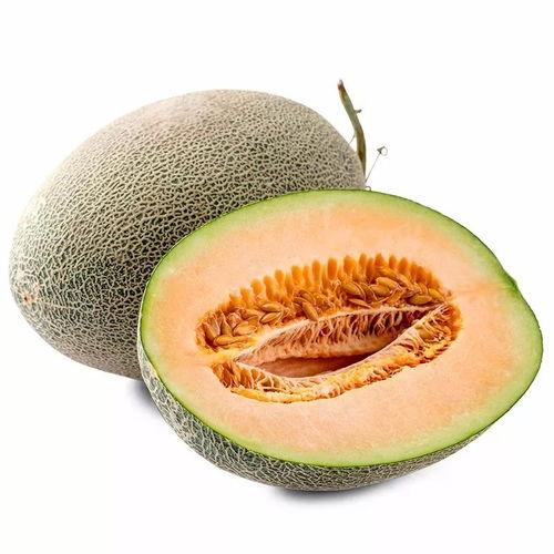 蜜瓜25号今日行情,价格波动与市场动态一览”