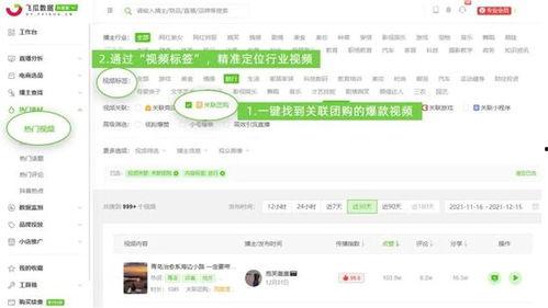 飞瓜数据热门视频减肥,热门减肥视频背后的秘密与趋势