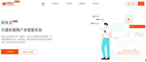 飞瓜数据热门视频减肥,热门减肥视频背后的秘密与趋势