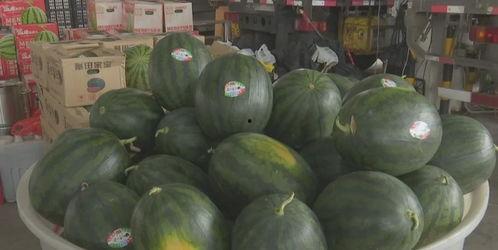 黑瓜福利网在线吃瓜,在线吃瓜，畅享娱乐盛宴