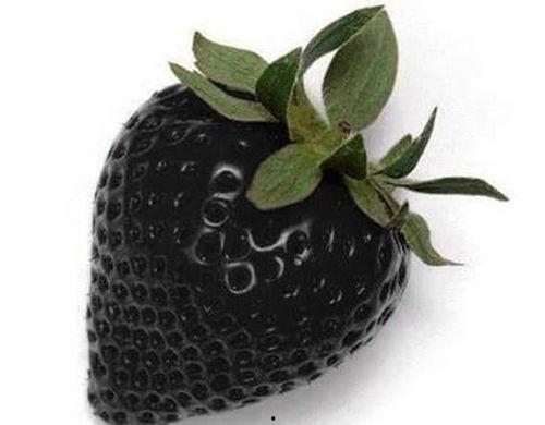 瓢瓜晒干有点黑可以吃吗,食用安全有保障