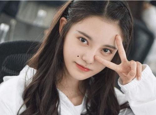 明星网红何婧简历