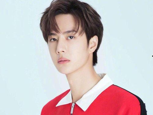 明星网红何婧简历