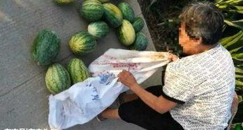 惠州近期热门吃瓜事件,揭秘近期最热吃瓜事件