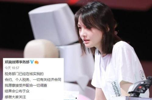 明星网红为什么捐款,捐款背后的社会责任与影响力