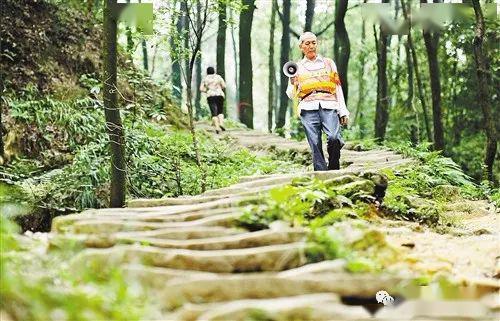 辽宁理工热门吃瓜小树林,校园生活趣闻录