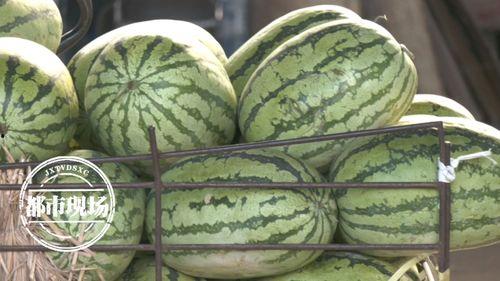 黑瓜多少天成熟的季节吃,把握最佳食用时机，尽享美味与营养”