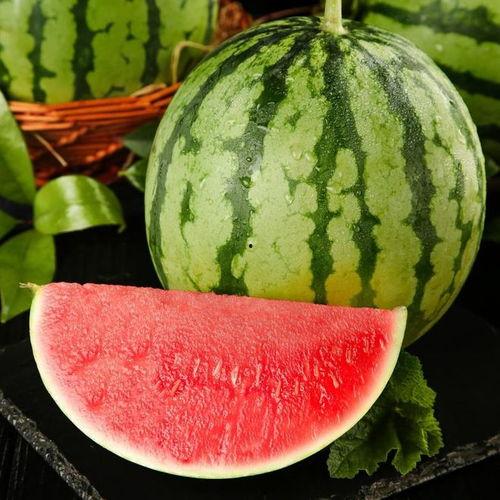 摘瓜扭瓜的热门音乐有哪些,盘点热门歌曲及魅力解析