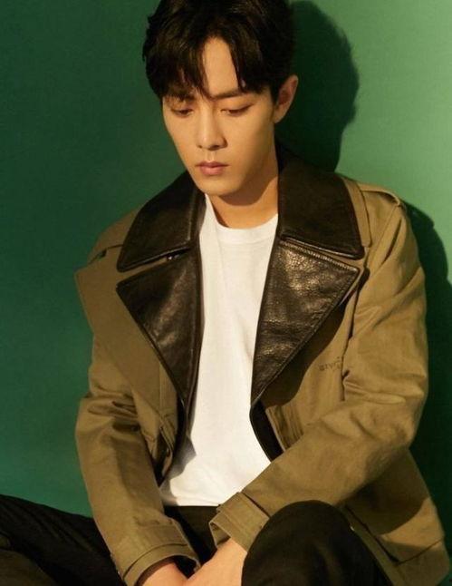 吃瓜有料爆料肖战是真的吗,肖战真实情况揭秘