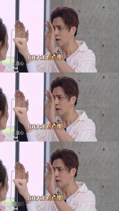 小猪明星网红叫什么,网络红人的崛起之路