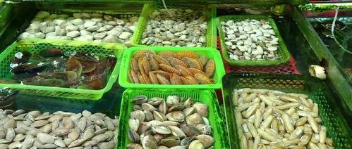 今日南宁蒲瓜价格