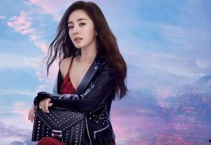 六位明星网红,揭秘他们的成名之路与影响力”