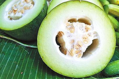 历史回顾黑料吃瓜,那些被尘封的黑料与吃瓜瞬间