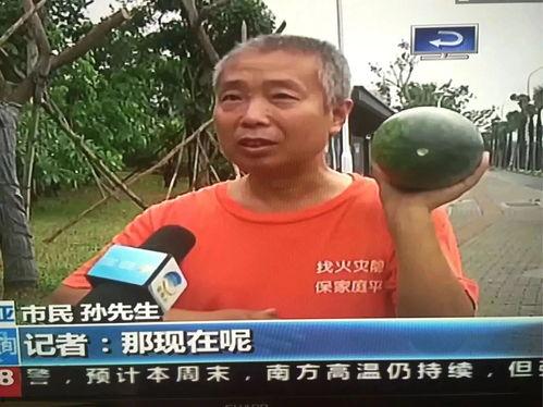 吃瓜热门事件大全,盘点年度热门事件大盘点