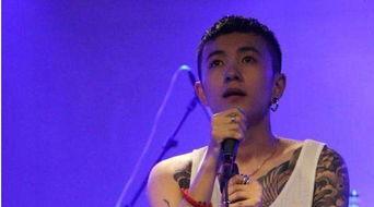 抖音明星网红歌手,闪耀舞台的璀璨星河