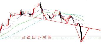火银瓜今日价格走势,今日走势解析