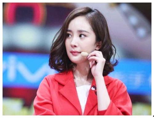 以后还有明星网红吗,明星网红的持续辉煌